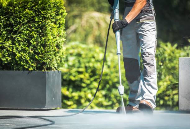 Best Roof Washing  in Smithton, IL