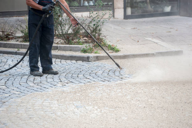 Best Boat and Dock Cleaning  in Smithton, IL